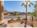 Well-manicured front yard with desert landscaping, stones, palms, and view of the surrounding community at 16256 S 1St St, Phoenix, AZ 85048