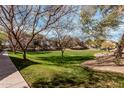 Beautiful green space and walking paths in a well-maintained neighborhood at 2454 E Vermont Dr, Gilbert, AZ 85295