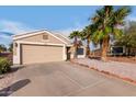 Charming single-story home with a two car garage, desert landscaping and mature palm trees at 11178 W Echo Ln, Peoria, AZ 85345