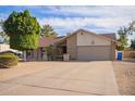 Inviting single-story home showcasing a well-maintained front yard and attached garage at 4409 E Gelding Dr, Phoenix, AZ 85032