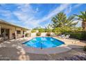 Backyard oasis featuring a sparkling pool, lounge chairs, and lush landscaping at 4409 E Gelding Dr, Phoenix, AZ 85032