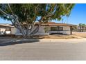 Charming single-story home with well-maintained landscaping and mature shade tree at 800 W Erie St, Chandler, AZ 85225