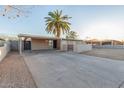 Charming single-story home featuring a desert landscape, large palm tree, and attached carport at 3611 W Hazelwood St, Phoenix, AZ 85019