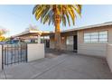 Charming single-story home with desert landscaping, carport, and large mature shade tree at 3611 W Hazelwood St, Phoenix, AZ 85019