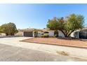 A single-story home featuring a two-car garage, desert landscaping and mature trees at 10008 N 50Th Dr, Glendale, AZ 85302