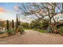 Scenic driveway lined with lush greenery, desert landscaping, and mature trees leading to the property at 6640 E Kasba Cir, Paradise Valley, AZ 85253