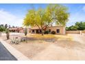 Inviting single-story home featuring desert landscaping and mature tree at 7820 S Maple Ave, Tempe, AZ 85284