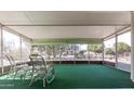 Enclosed sunroom or patio with green indoor/outdoor carpet and views of the exterior yard at 10609 W Concho Cir, Sun City, AZ 85373