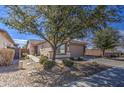 Inviting exterior view of a cozy home featuring mature trees and desert landscaping at 1541 W Crape Rd, San Tan Valley, AZ 85140