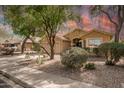 Inviting single-Gathering home featuring desert landscaping, shade trees, and a well-manicured front yard at 7635 E Pampa Ave, Mesa, AZ 85212