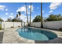 Inviting backyard pool featuring a large pool with a stone-tile deck, block wall, and mature landscaping at 2256 S Noche De Paz --, Mesa, AZ 85202
