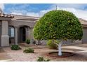 Inviting home featuring a landscaped front yard leading to the front door at 4202 E Broadway Rd # 93, Mesa, AZ 85206