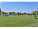 Expansive green space featuring mature trees, landscaping, and neighborhood homes at 17131 W Oberlin Way, Surprise, AZ 85387