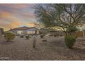 Expansive backyard featuring desert landscaping and a mature tree at 9952 W Jessie Ln, Peoria, AZ 85383