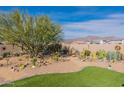 Expansive backyard showcasing desert landscaping with a turf area and views of the mountains at 12792 E Crystal Forest --, Gold Canyon, AZ 85118