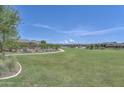 Expansive community greenspace with walking paths, landscaping, and mountain views in the distance at 17143 W Oberlin Way, Surprise, AZ 85387