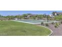 Outdoor basketball court with green surface and hoops, surrounded by lush landscaping and walking paths at 17166 W Oberlin Way, Surprise, AZ 85387