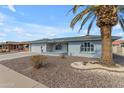 Single-story home features low-maintenance desert landscaping and a stately palm tree at 8064 E Madero Ave, Mesa, AZ 85209