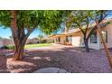 Expansive backyard featuring gravel, mature shade trees, and a covered patio perfect for outdoor entertaining at 9445 S La Rosa Dr, Tempe, AZ 85284