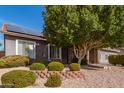 Beautifully landscaped front yard featuring a mature tree and decorative rock at 6456 E Orion St, Mesa, AZ 85215