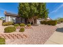 Beautifully landscaped front yard featuring a mature tree and decorative rock at 6456 E Orion St, Mesa, AZ 85215