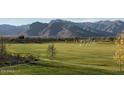 Expansive backyard with lush green lawn and mountain views, perfect for outdoor activities at 6859 N 190Th Dr, Waddell, AZ 85355