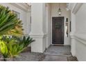 Elegant entryway with a decorative security door, stylish lighting, and well-maintained landscaping at 721 W Cherrywood Dr, Chandler, AZ 85248