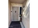 Close-up of front door with security screen, decorative accents, and a side accent light and decorations at 19224 N 93Rd Ave, Peoria, AZ 85382