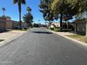 A quiet neighborhood street featuring well-maintained homes with desert landscaping and mature shade trees at 19224 N 93Rd Ave, Peoria, AZ 85382