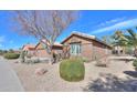 Well-maintained front yard with desert landscaping, including a leafy green bush at 2408 E Fiesta Dr, Casa Grande, AZ 85194
