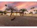 Ranch-style home with desert landscaping, palm trees, and a secure fenced yard, perfect for outdoor enjoyment at 14013 N 57Th Pl, Scottsdale, AZ 85254