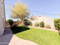 Spacious backyard with lush lawn, mature trees, and brick trimmed garden beds at 440 E March St, San Tan Valley, AZ 85140