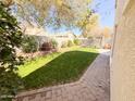 Backyard featuring green grass, trees, and a swing set providing a relaxing outdoor space at 440 E March St, San Tan Valley, AZ 85140