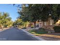 Quiet residential street lined with mature trees and well-kept lawns, creating a peaceful neighborhood at 3212 E Constance Way, Phoenix, AZ 85042