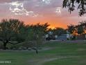 Scenic sunset view over a lush green lawn and mature trees, highlighting the property's tranquil setting at 3212 E Constance Way, Phoenix, AZ 85042