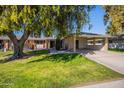 Traditional single-story home featuring mature shade trees and a covered carport at 14006 N Tumblebrook Way, Sun City, AZ 85351