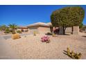 Charming single-story home featuring desert landscaping with cacti and a neatly trimmed tree at 16016 W Indigo Ln, Surprise, AZ 85374