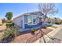 Side view of light blue home showing manicured landscaping and bright, sunny day at 2263 N Trekell Rd # 21, Casa Grande, AZ 85122