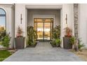 Elegant home entrance with large glass doors flanked by potted plants and modern lighting at 10800 E Cactus Rd # 38, Scottsdale, AZ 85259