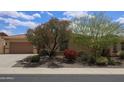 Charming home featuring stone landscaping, desert-friendly plants, trees, and a neutral color palette at 31483 N 133Rd Dr, Peoria, AZ 85383