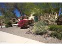 Beautifully landscaped front yard with decorative rock and a variety of colorful desert plants at 31483 N 133Rd Dr, Peoria, AZ 85383