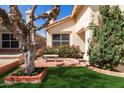 Charming front yard featuring a unique tree and colorful flower bed near entrance at 6834 S Dennis Dr, Tempe, AZ 85283