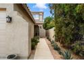 Landscaped walkway leading to the front door at 827 W Kesler Ln, Chandler, AZ 85225