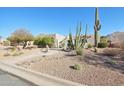 Southwestern home with desert landscaping, including cacti, mature trees, and rock accents at 9870 E Little Nugget Way, Gold Canyon, AZ 85118