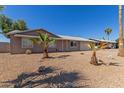 Inviting single-story home with desert landscaping and young palm trees in the front yard at 13232 N 40Th Pl, Phoenix, AZ 85032