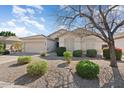 Lovely single-story home featuring a two-car garage and a professionally landscaped xeriscaped front yard at 16351 W Central St, Surprise, AZ 85388