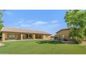 Expansive backyard with lush green lawn and covered patio, perfect for outdoor entertaining at 4815 W Desert Hollow Dr, Phoenix, AZ 85083
