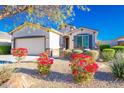Welcoming single-story home with vibrant flowerbeds and desert landscaping at 17563 W Summit Dr, Goodyear, AZ 85338