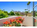 Balcony with bright orange flowers, mountain views, and desert landscaping at 5101 N Casa Blanca Dr # 25, Paradise Valley, AZ 85253