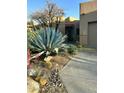 Landscaped front yard with desert plants and a walkway leading to the front door of this lovely home at 9110 E Clubhouse Ct # 639, Scottsdale, AZ 85262
